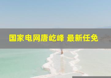 国家电网唐屹峰 最新任免